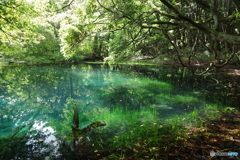 青と緑の神の池－丸池様6