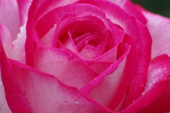 スパイラルに魅せられて3