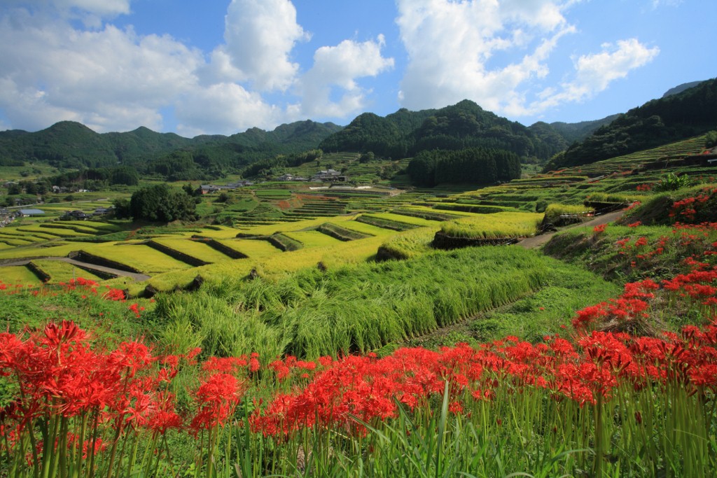 田舎の風景