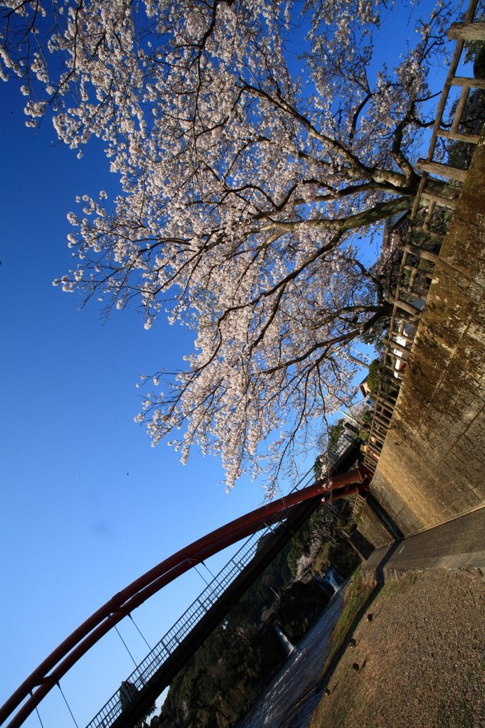 春