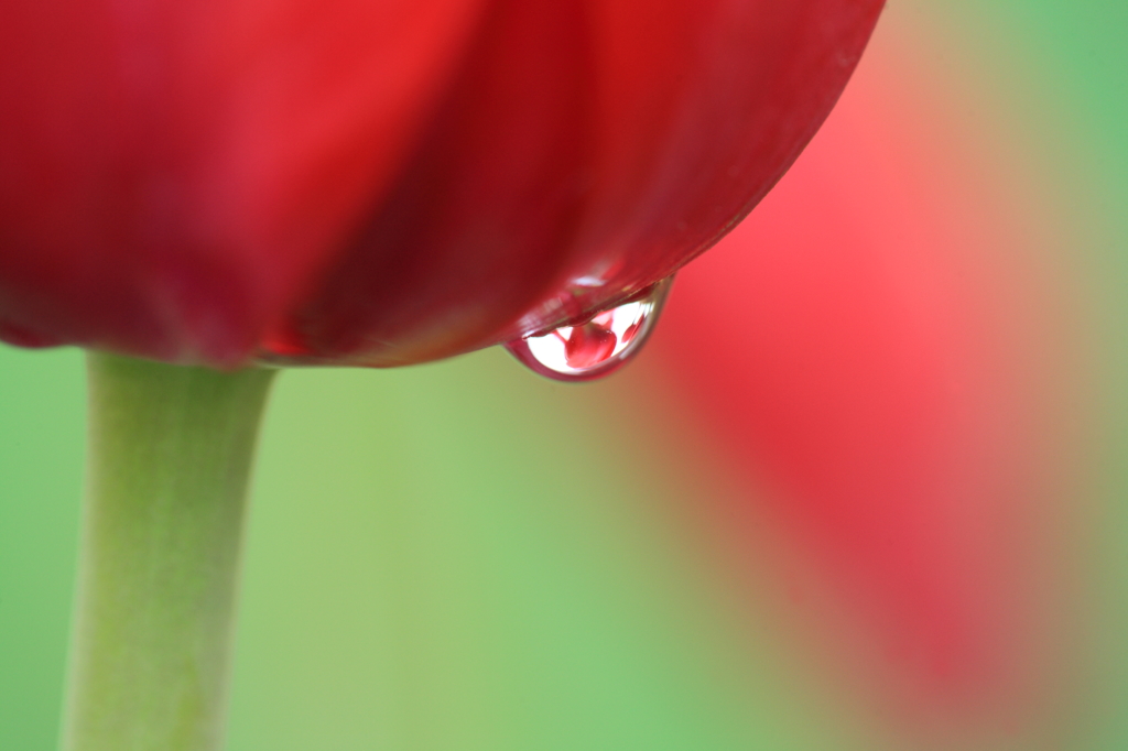 雨上がり