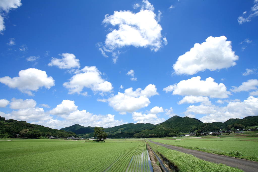 梅雨明け空