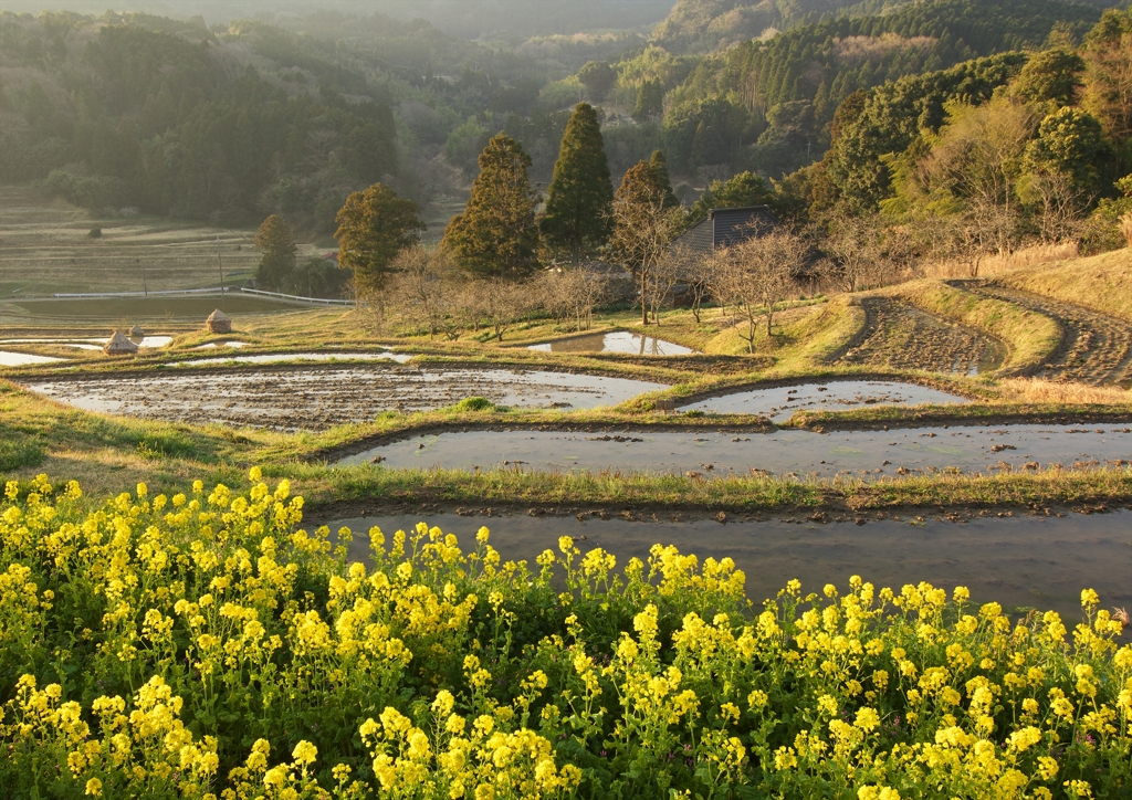 里山の春