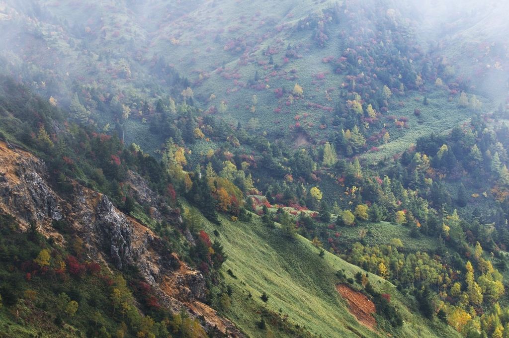 草津・白根山 (10)