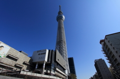 スカイツリー①