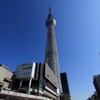 スカイツリー①