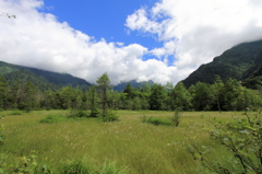 上高地(田代湿原)