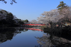 岩槻城址公園2012-3