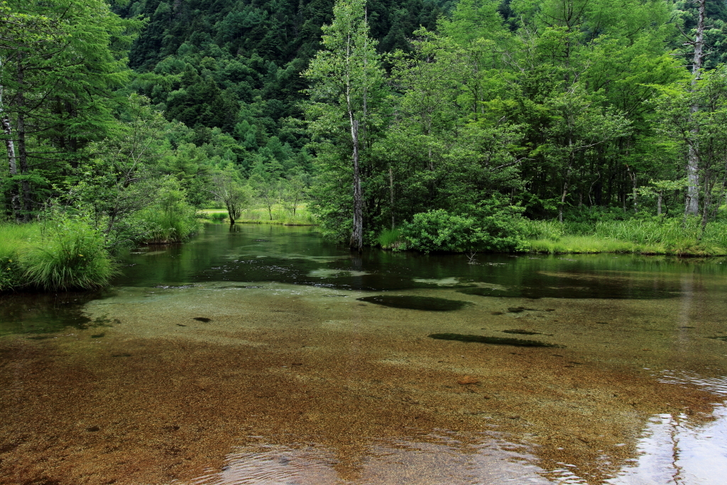 上高地(田代池)
