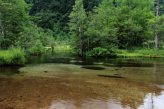 上高地(田代池)