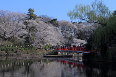 岩槻城址公園2012-2