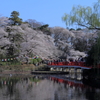 岩槻城址公園2012-2