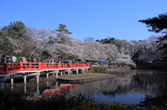 岩槻城址公園2012-1