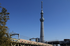 スカイツリー④