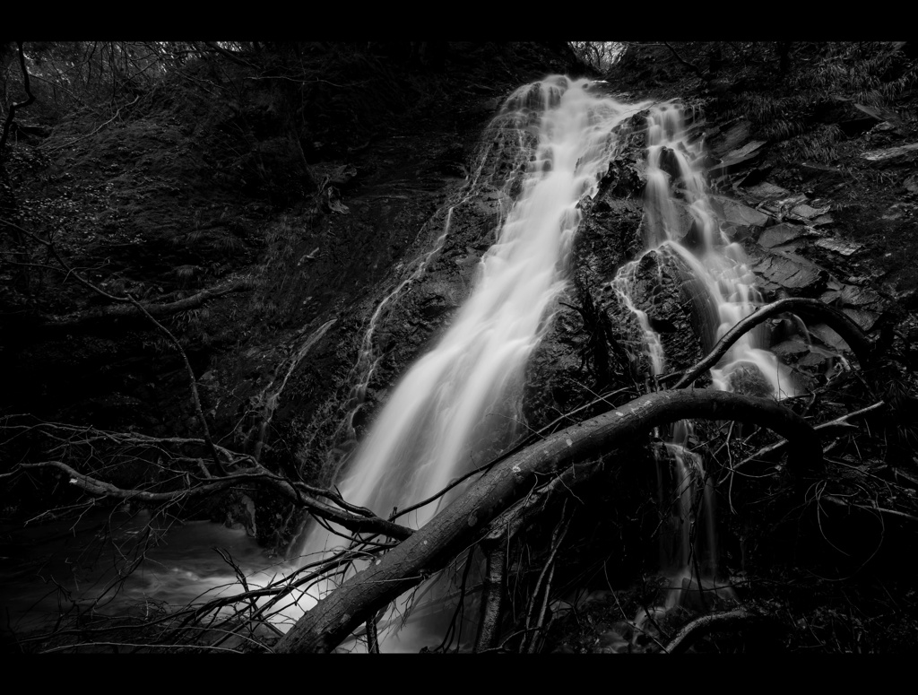 【番外編】ＭＯＮＯ　ＦＡＬＬ