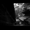 【福井オフ】－大本山