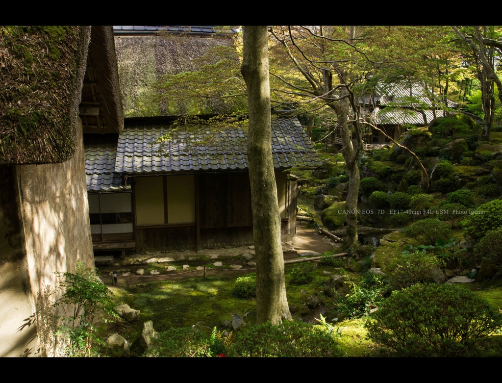 近江名刹紀行【石の寺－教林坊】　心の風景