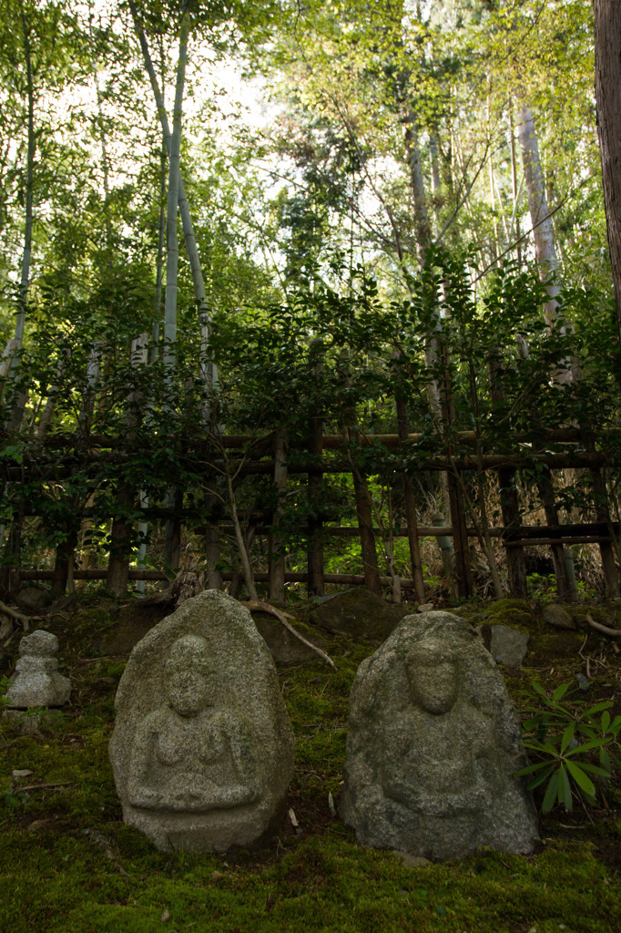近江名刹紀行【石の寺－教林坊】　祈り