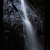 岩海苔