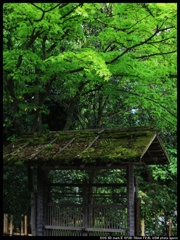 こころの風景