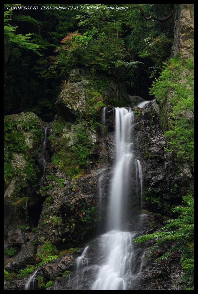 山深きを