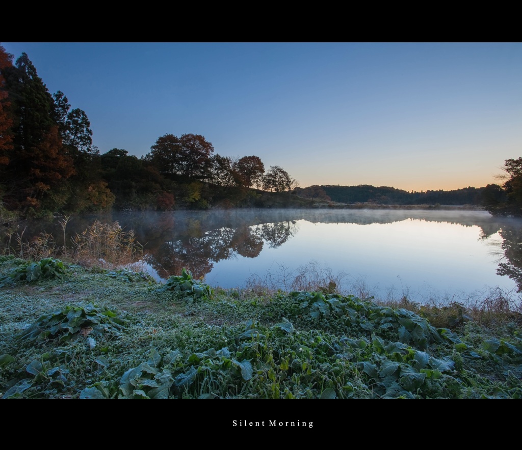 Ｓｉｌｅｎｔ　Ｍｏｒｎｉｎｇ