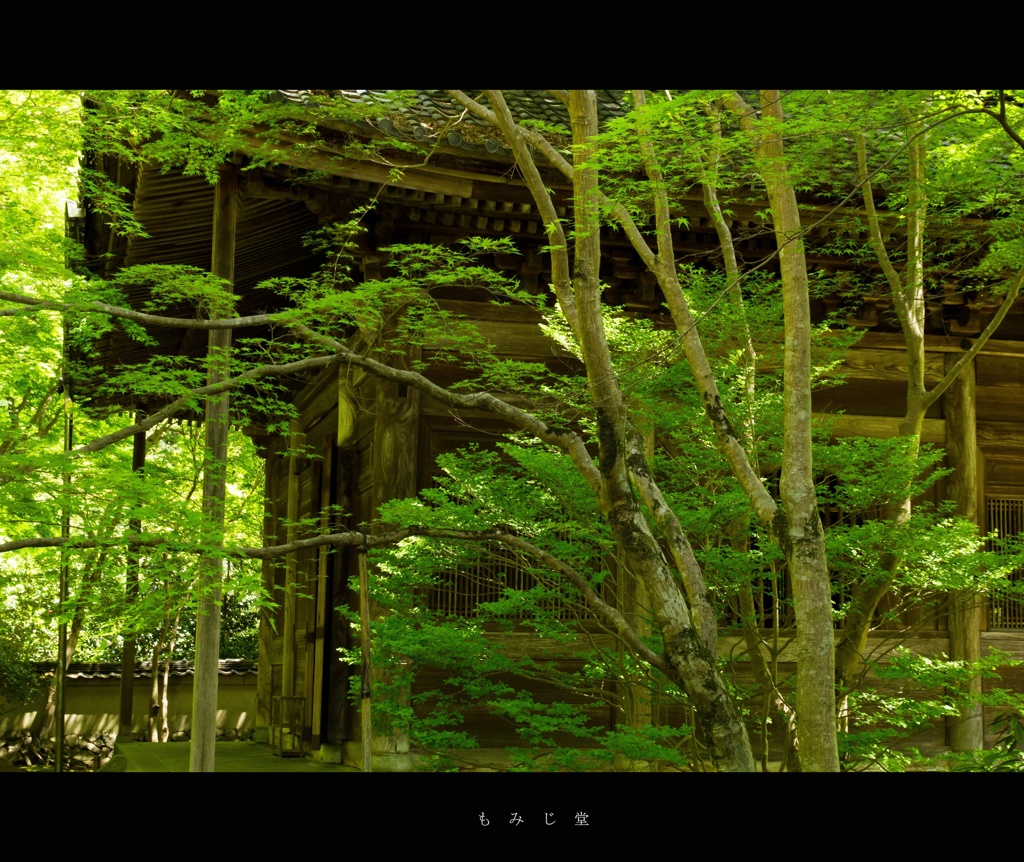 【京都お寺さん巡り】もみじ堂