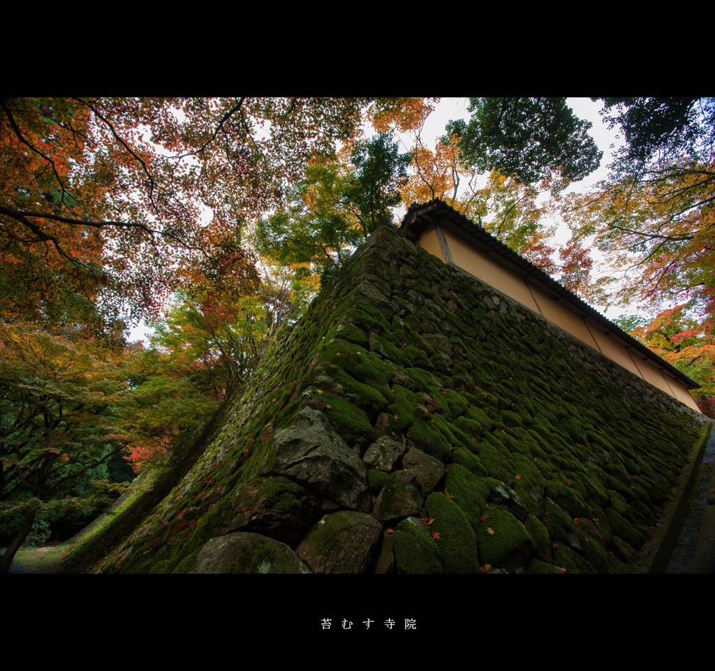 苔むす寺院