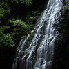 陰影