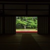Kotoin