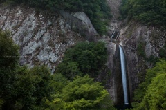楊枝川支流の滝-布引の滝