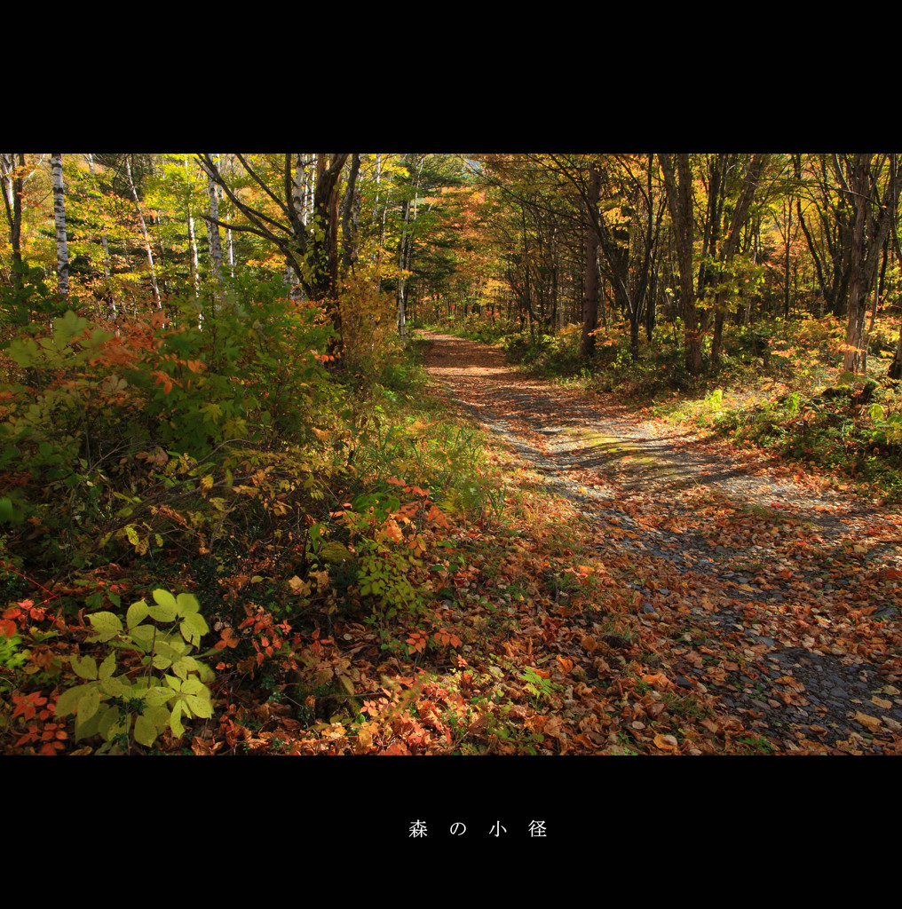 森の小径