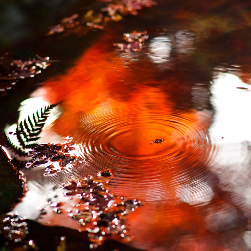 水遊び