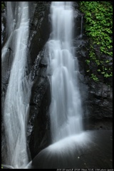 障泥滝右岸