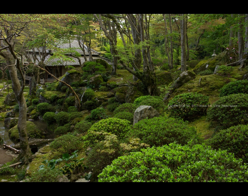 近江名刹紀行【石の寺－教林坊】　小堀遠州の庭