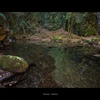 clear water