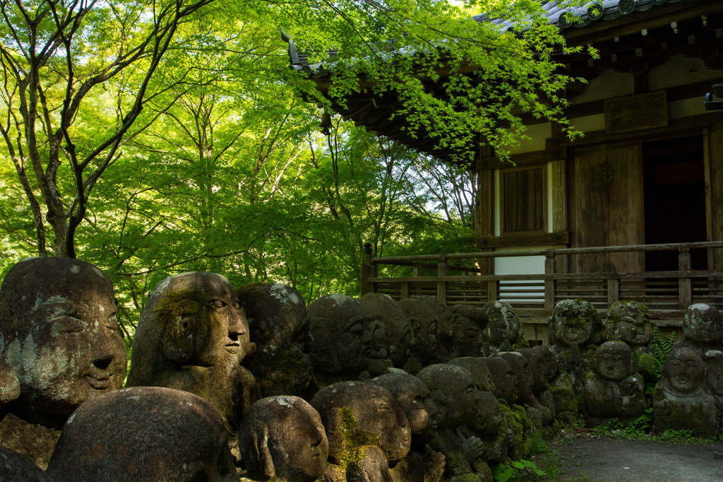 【京都お寺さん巡り】新緑を眺める羅漢様