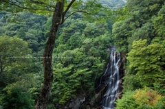 楊枝川支流の滝-荒滝