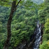 楊枝川支流の滝-荒滝