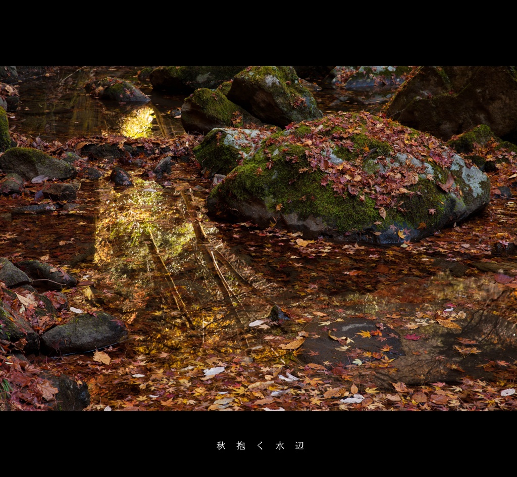 映り込む秋鏡シリーズ－（1）　秋抱く水辺