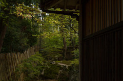 近江名刹紀行【石の寺－教林坊】　薄日