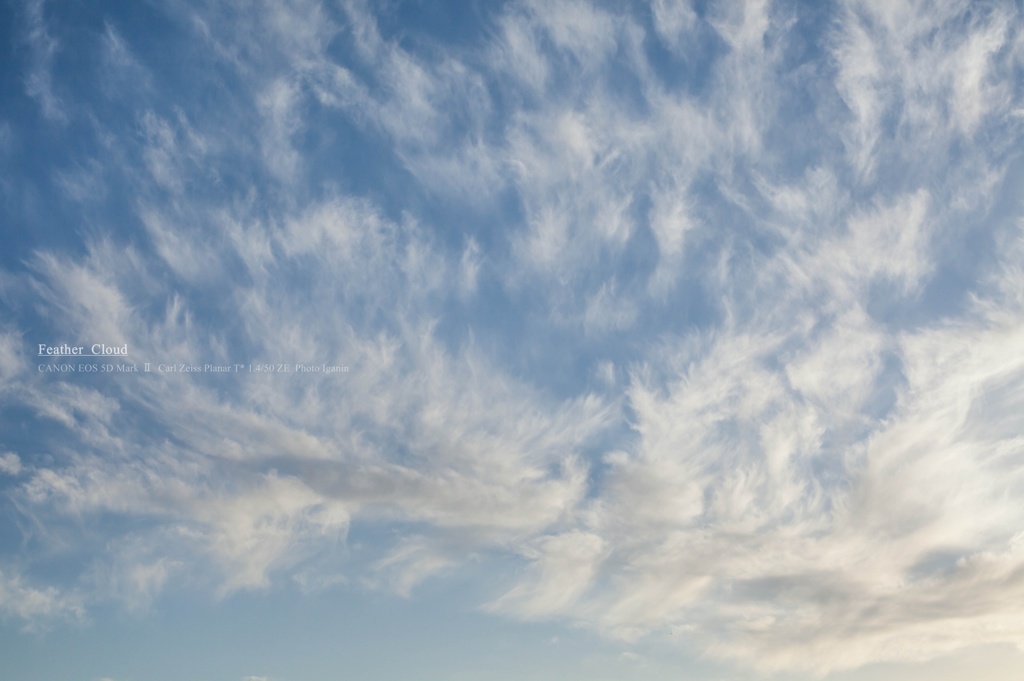 Feather Cloud