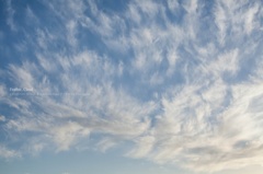 Feather Cloud
