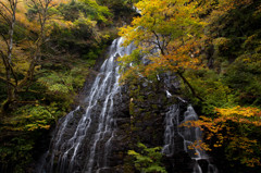 秋陰龍双瀑