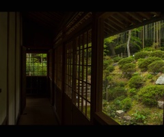 近江名刹紀行【石の寺－教林坊】　風情