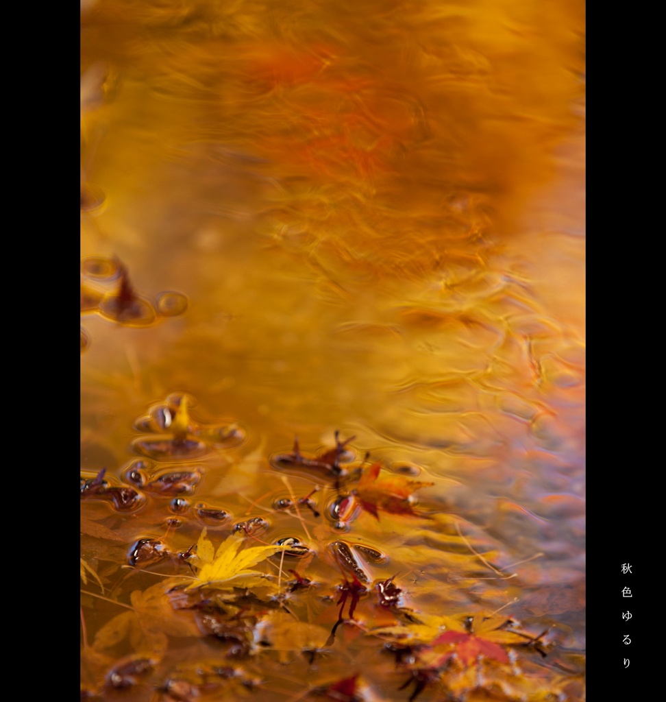 映り込む秋鏡シリーズ－（3）秋色ゆるり