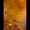 映り込む秋鏡シリーズ－（3）秋色ゆるり