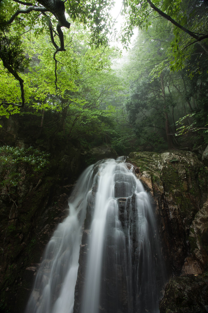 雨霧