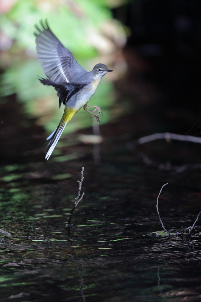 良いお年をお迎えください　(^^)