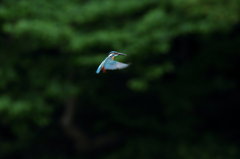 ちょっと遠い～よっ！